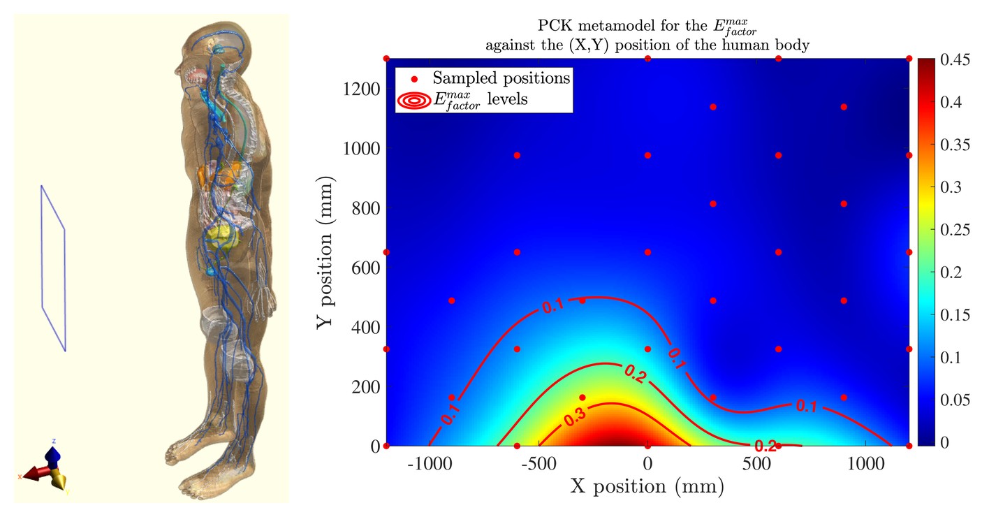 Dosimetric human body model next to a predicted exposure-factor map around a WPT system